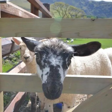 1 Bed In Gamblesby 90416 * Kirkoswald (Cumbria)